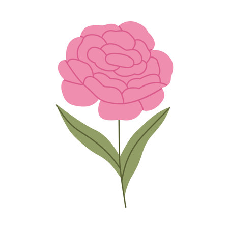 Simple pink peony flowerのイラスト素材