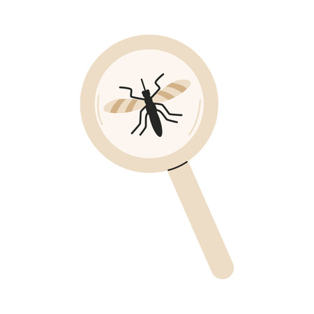 Mosquito under magnifying glassのイラスト素材