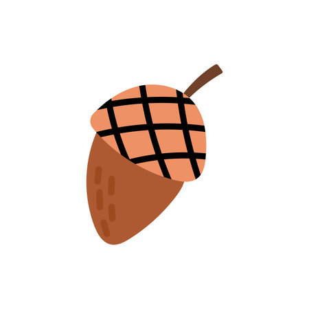 Acorn hand drawn illustrationのイラスト素材