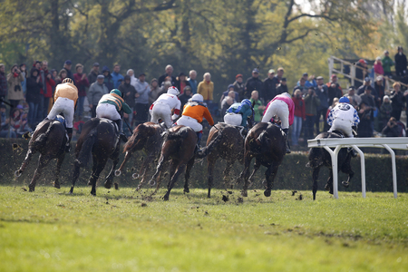 Horse Race in Pardubiceのeditorial素材