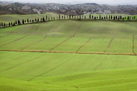 Scenic landscape in the area between Siena and Asciano (Italy)の写真素材