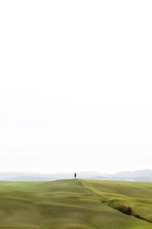 Scenic landscape in the area between Siena and Asciano (Italy)の写真素材