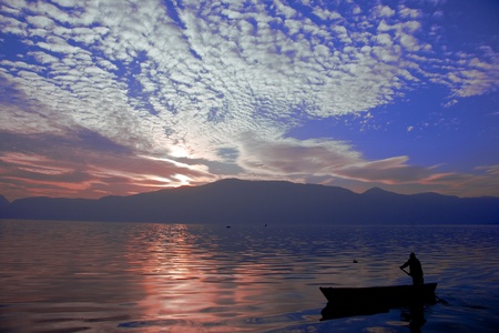 ecologyの写真素材