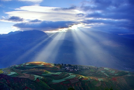 lightの写真素材