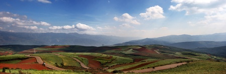The red landの写真素材