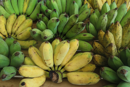 Bananaの写真素材