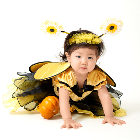 Baby wearing bee costume is ready for Halloweenの写真素材