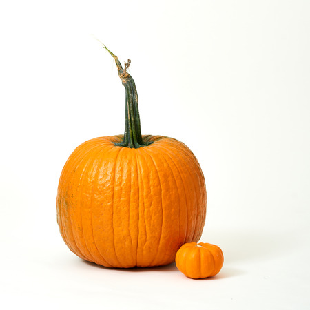 Big pumpkin with handle with small pumpkin on the sideの写真素材