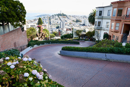 Scenic Lombard street view in San Franciscoの写真素材
