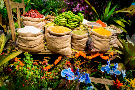 Flowers surrounding numbers of bags of beansの写真素材