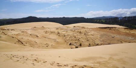 dessert in new zealandの写真素材