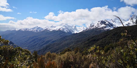 beautiful nature in new zealandの写真素材