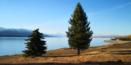 Lake pukaki in new zealandの写真素材