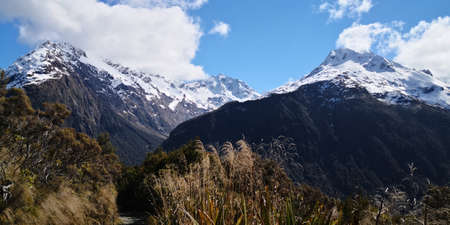 beautiful nature in new zealandの写真素材