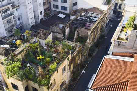 Roof-top garden, Athens, Greece, Europeのeditorial素材