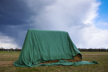 Covered bale of straw on a meadow Brandenburg Germanyの写真素材
