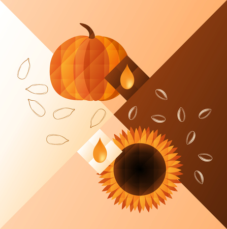 illustration of pumpkin and sunflower. Oil and seeds of them.のイラスト素材