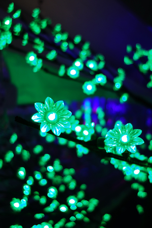 Green Flower Lightsの写真素材