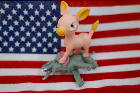 Democrats and Republicans Electionの写真素材