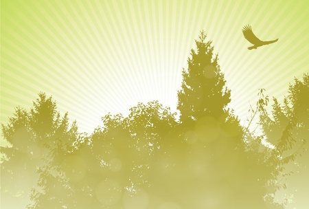 Morning in forestのイラスト素材