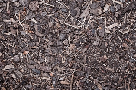 Mulch Bark on ground Textureの写真素材