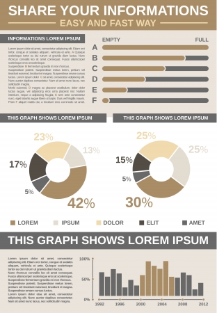 Common Infographic Template with graphsのイラスト素材