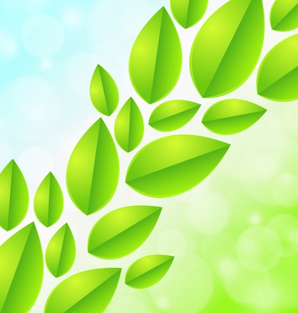 Leaves on soft blue green backgroundのイラスト素材