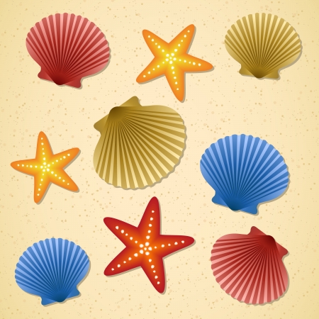 Seashells and starfishes on beachのイラスト素材