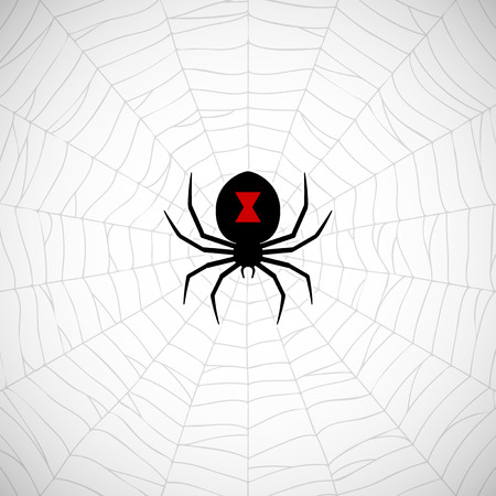 Spider Black Widow on webのイラスト素材