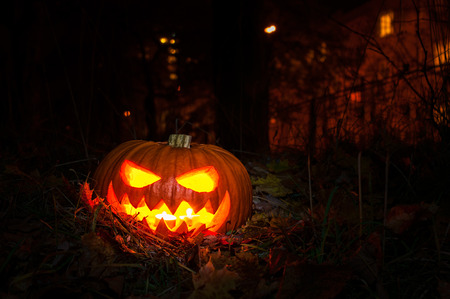 Halloween pumpkin lantern , Jack-o'-lanternの写真素材