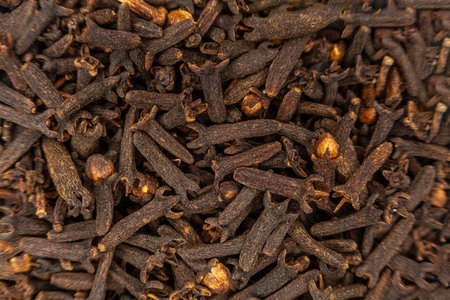 Top view photo of cooking cloves grouped together, highlighting the shape, texture, and natural color of each clove in sharp detail on a white backgroundの写真素材