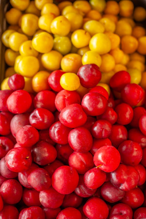 Vertical close-up of red and yellow plums filling the frame. Natural texture and vivid tones ideal for markets, fresh fruit themes, and food conceptsの写真素材
