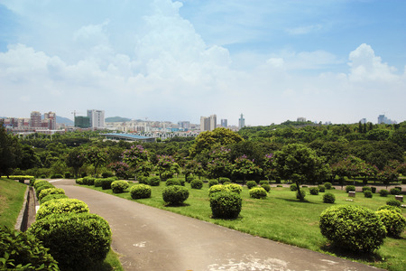 City park under blue sky with Downtown Skyline in the Backgroundの写真素材