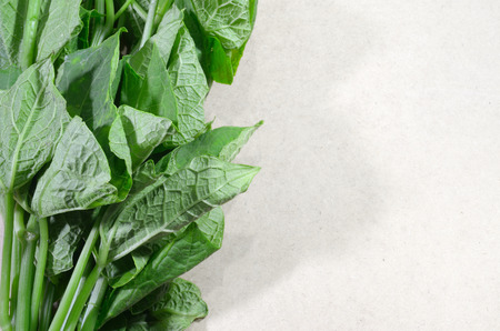 fresh asian spinach on the left wooden boardの写真素材
