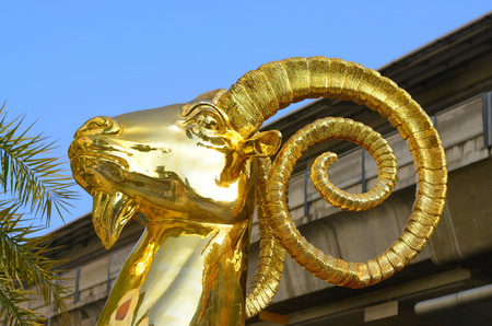 modern golden head goat for new yearの写真素材