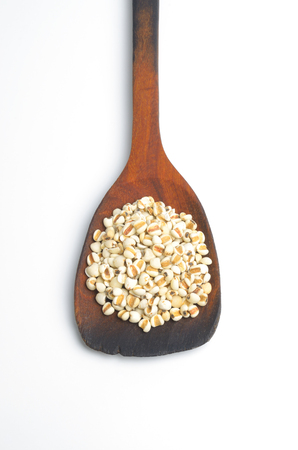 job's tears in wooden ladle on whiteの写真素材