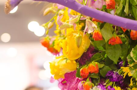 multi flowers and bokeh backgroundの写真素材