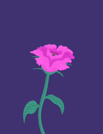 A single pink rose on a purple with text space for banner, publication, social media background.のイラスト素材