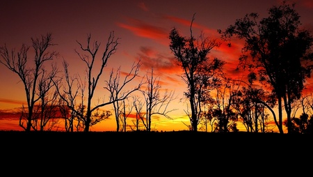 Sunset in Australiaの写真素材