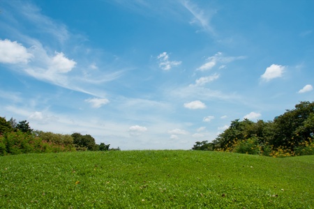Path through the landscaped park の写真素材