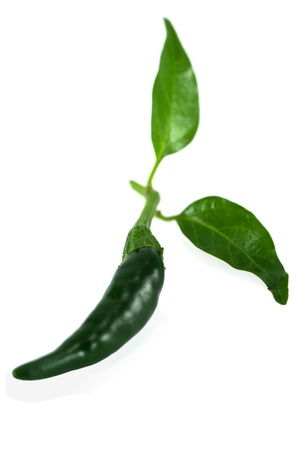 green pepper isolated on whiteの写真素材