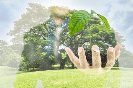 Double exposure of businessman hand holding young tree, concept of maintaining a natural and business environmentの写真素材