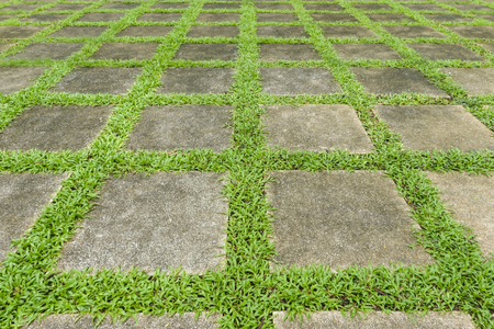 Square concrete block floor walk path with green grass in the parkの写真素材