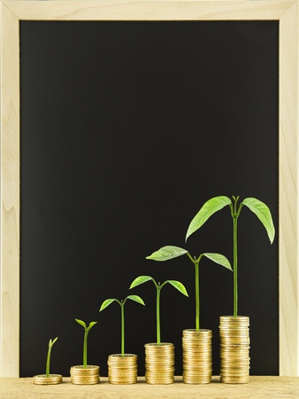 Money coin stack arranged as a graph on a wooden with tree growth and blank blackboard background, concept of money growthの写真素材