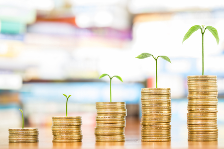Tree growing on one dollar coins arranged as a graph on wood table with pile of books as background, concept of educational advancement and saving moneyの写真素材