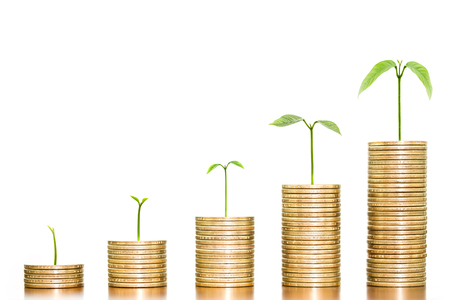 Tree growing on money coins arranged as a graph on wooden on white background, concept of business growth and saving moneyの写真素材
