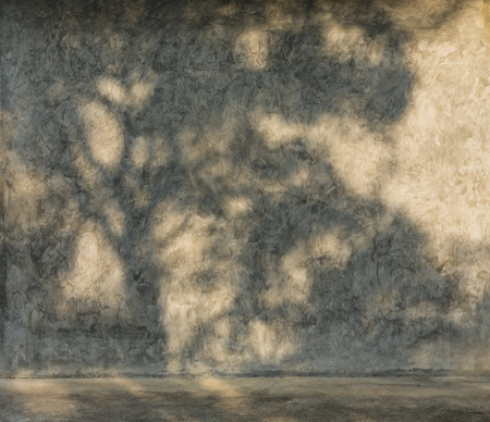 Shadow of tree branch on cement wall and concrete floor as texture and backgroundの写真素材