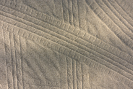 Many lines texture of the car wheel footprint with shadow of pine branch on sand beachsandの写真素材