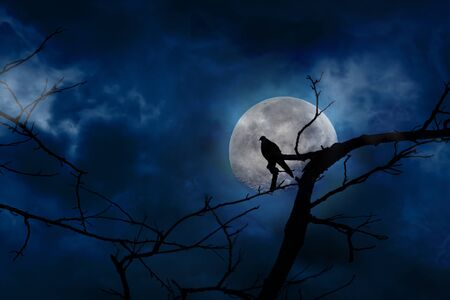 Scary blue background in silhouette of bird perched on tree branches and moon at midnight with bright and dark cloudsの写真素材