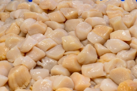 Pile of peeled raw scallops for grill on market standの写真素材